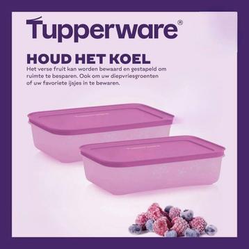Tupperware Diepvriesdoos 1 liter  beschikbaar voor biedingen