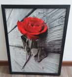 afbeelding - rode roos, Huis en Inrichting, Ophalen, Minder dan 50 cm, Nieuw, Schilderij