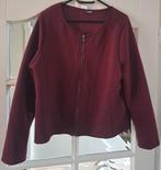 Zeeman vest rood maat 48, Zeeman, Maat 46/48 (XL) of groter, Ophalen of Verzenden, Gedragen