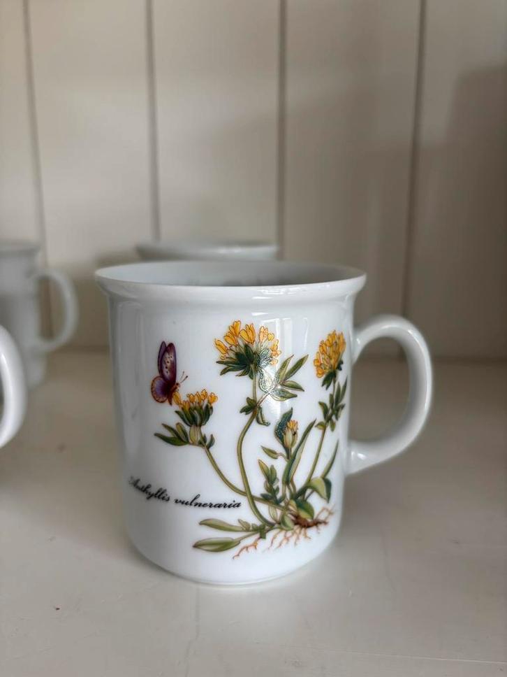 4 Vintage Kronester Bavaria Botanisch Bekers, Huis en Inrichting, Keuken | Servies, Gebruikt, Kop(pen) en/of Schotel(s), Overige stijlen