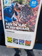 Zakje Bloembollen - Intratuin, Ophalen, Najaar, Volle zon, Bloembol