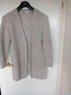 Alchemist lang vest grijs wolmix L, Kleding | Dames, Ophalen of Verzenden, Zo goed als nieuw, Grijs