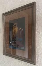 Schilderij uil 60x76cm, Antiek en Kunst, Ophalen