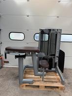 Gym 80 Glute kickback/ Gluteaus/ Machine/ Sygnum series