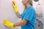 Schoonmaken helmond huishoudelijke hulp poetsen, Overige vormen