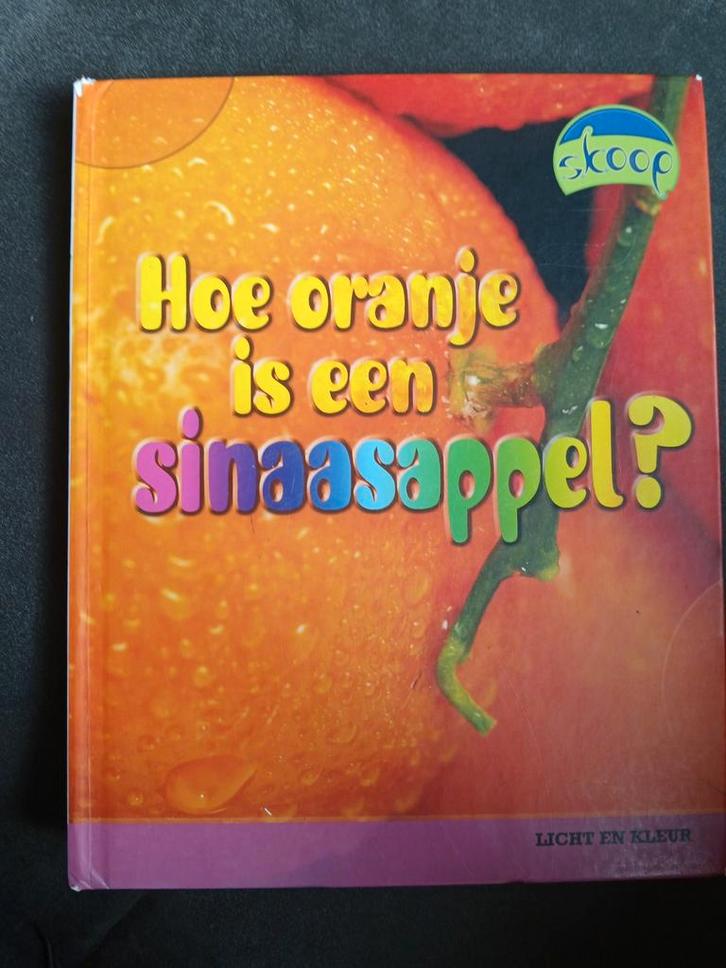 Hoe oranje is een sinaasappel? - Leerzaam kinderboek, Boeken, Kinderboeken | Jeugd | onder 10 jaar, Zo goed als nieuw, Non-fictie