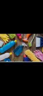 Schoonmaakster Bodegraven, Overige niveaus, Overige vormen