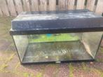 Jewel aquarium, Dieren en Toebehoren, Vissen | Aquaria en Toebehoren, Ophalen, Gebruikt, Leeg aquarium