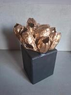 Goud kleurige zeepokken op een zwart houten blok., Ophalen of Verzenden