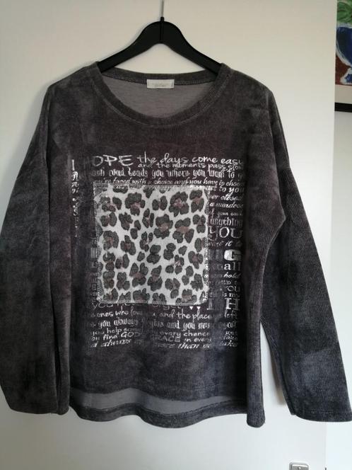 Wild One dames sweater, één maat, licht grijs, Kleding | Dames, Truien en Vesten, Zo goed als nieuw, Maat 38/40 (M), Grijs, Ophalen of Verzenden
