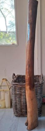 Didgeridoo 110cm + gratis didge, Muziek en Instrumenten, Blaasinstrumenten | Didgeridoos, Ophalen of Verzenden, Zo goed als nieuw