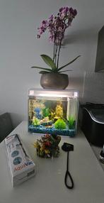 Compleet superfish aquarium 40 wit, Dieren en Toebehoren, Vissen | Aquaria en Toebehoren, Ophalen, Zo goed als nieuw