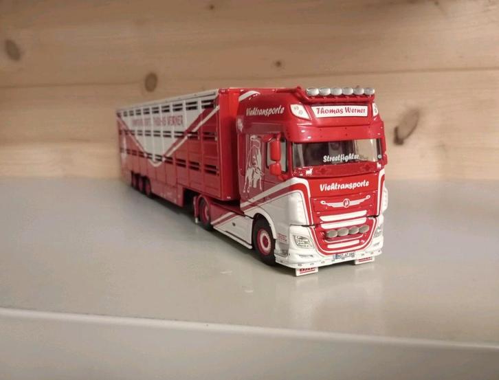 Daf XF Thomas Werner vee oplegger WSI, Hobby en Vrije tijd, Modelauto's | 1:50, Nieuw, Bus of Vrachtwagen, Wsi, Ophalen of Verzenden