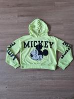 Truitje maat 158/164, Kinderen en Baby's, Kinderkleding | Maat 158, Ophalen of Verzenden, Zo goed als nieuw, Meisje, Trui of Vest