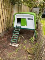Omlet kippenhok met automatische deur, Dieren en Toebehoren, Pluimvee | Toebehoren, Ophalen, Zo goed als nieuw, Kippenhok of Kippenren