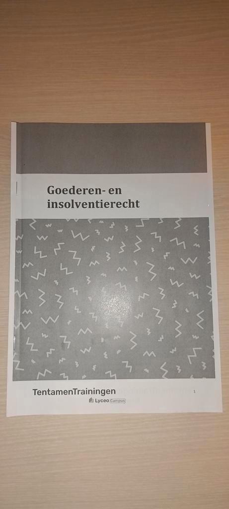 GRATIS EUR Rechten samenvatting goederen en insolventierecht, Boeken, Studieboeken en Cursussen, Zo goed als nieuw, WO, Ophalen