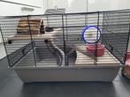 Hok voor knaagdier 51x33x33 cm (ZGAN), Hamster, Minder dan 75 cm, Zo goed als nieuw, Hok
