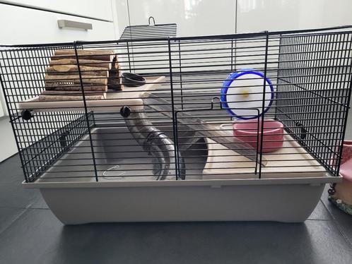 Hok voor knaagdier 51x33x33 cm (ZGAN), Dieren en Toebehoren, Knaagdieren en Konijnen | Hokken en Kooien, Zo goed als nieuw, Hok