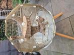 Kooi voor vogels en reptilen, Ophalen of Verzenden, Gebruikt, Hout, Vogelkooi