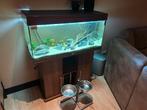 Juwel rio 180 met meubel, Ophalen, Gebruikt, Leeg aquarium