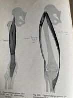 Anatomie Boek met Foto's en Schema's, Ophalen of Verzenden, Gelezen, Fotografie algemeen