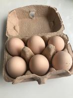 Verse eieren bruine legkip en Orpington (om te eten), Diversen, Levensmiddelen, Ophalen