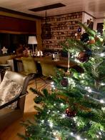 Te huur! Chalet Moose. Ontspanning op de Veluwe in Putten., In bos, Recreatiepark, Gelderland en Veluwe, 1 slaapkamer