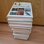 15-delige encyclopedie in prima staat, Boeken, Encyclopedieën, Ophalen of Verzenden