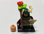 Lego Dungeons & Dragons Minifiguur coldnd-5 Halfling Druid, Ophalen of Verzenden, Nieuw, Complete set, Lego