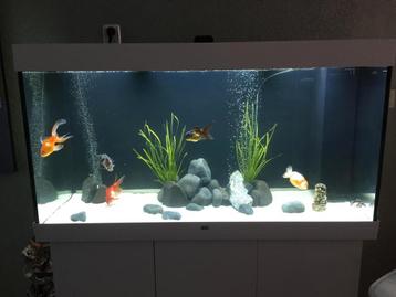  JUWEL Aquarium Rio met onderkast beschikbaar voor biedingen