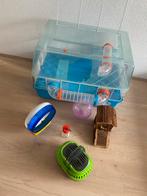 Hamsterkooi met toebehoren, Dieren en Toebehoren, Knaagdieren en Konijnen | Hokken en Kooien, Ophalen, Minder dan 75 cm, Kooi