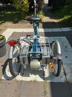 Van raam maxi2 electrische driewieler, Fietsen en Brommers, Fietsen | Driewielfietsen, Ophalen of Verzenden, Zo goed als nieuw