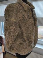 Karakul Persianer bontjasje met rits, Verzenden, Zo goed als nieuw, Beige