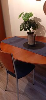 Ovale tafel met 4 stoelen - Gebruikt, Gebruikt, Vintage, 50 tot 100 cm, 150 tot 200 cm