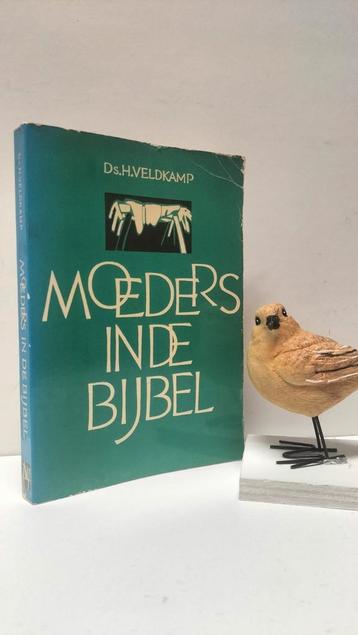 Veldkamp, Ds. H.; Moeders in de Bijbel (Paperback) beschikbaar voor biedingen