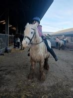 Zoek een verzorg pony of paard kan alles, Ophalen