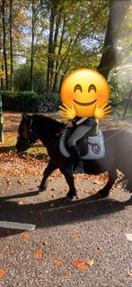 Gezocht D pony, Verzamelen, Ophalen