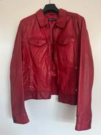 Rood leren jasje maat 42, Ophalen of Verzenden, Zo goed als nieuw, Maat 42/44 (L), Rood