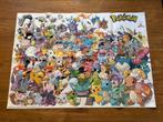 Pokemon -Jetix poster 2005 gen1, Rechthoekig Staand, Ophalen of Verzenden, Zo goed als nieuw, A1 t/m A3