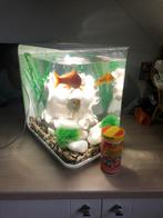 Biorb 30 liter, Dieren en Toebehoren, Vissen | Aquaria en Toebehoren, Ophalen, Gebruikt, Leeg aquarium