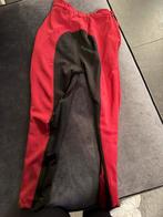 Harry’s horse rijbroek maat 44, Ophalen of Verzenden, Dressuur, Onderkleding