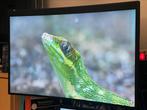 Prachtige MSI Optix G24C4 144 hertz, Ophalen, 101 t/m 150 Hz, Curved, Full HD