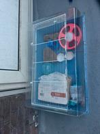 Hamsterhok met benodigdheden gratis op te halen voor kids!, Dieren en Toebehoren, Knaagdieren en Konijnen | Hokken en Kooien, Minder dan 60 cm