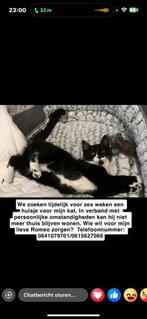 Opzoek naar tijdelijk  huisje kat, Ophalen of Verzenden, Zo goed als nieuw, Overige merken
