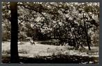 Oude Ansicht - Lage Vuursche - VENWOUDE Bondshuis Prot Bond, Verzamelen, Ansichtkaarten | Nederland, Ophalen of Verzenden, 1940 tot 1960