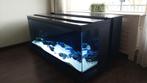 Aquarium Pro.160x60x60 Compleet.4 jaar oud. Top straat., Ophalen, Zo goed als nieuw, Leeg aquarium