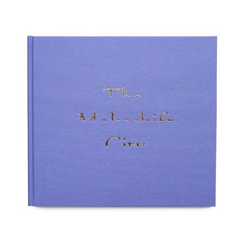 Joshua Dudley Greer - The Makeshift City, Boeken, Kunst en Cultuur | Fotografie en Design, Nieuw, Fotografen, Ophalen of Verzenden