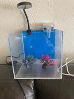 Mini Desktop Transparant Acryl Aquarium, Ophalen of Verzenden, Zo goed als nieuw, Leeg aquarium