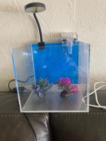 Mini Desktop Transparant Acryl Aquarium beschikbaar voor biedingen