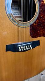 Ibanez V-302 12-snarige gitaar, Ophalen of Verzenden, Gebruikt, Western- of Steelstringgitaar, 12-snarig